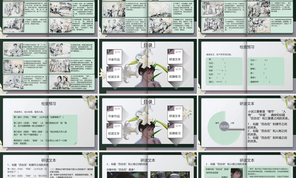 3.1 《百合花》-课件-2021-2022学年高中语文统编版（2019）必修上册.pptx