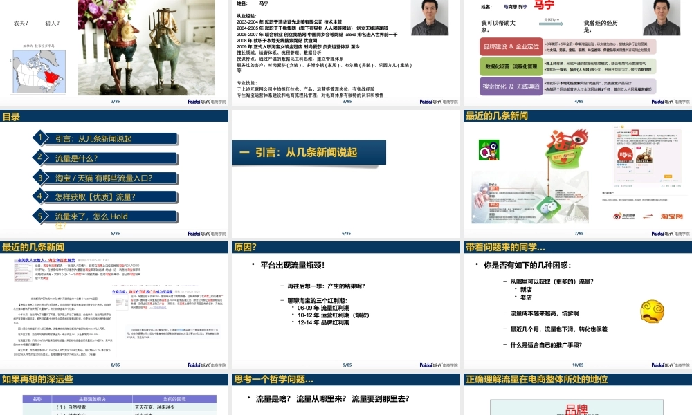 3-大流量 马宁最新.pptx