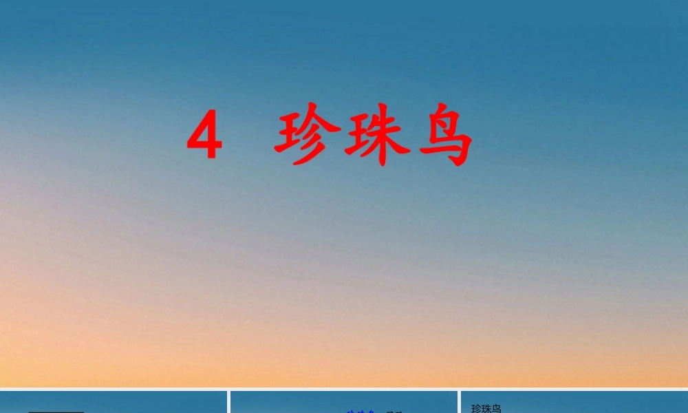 4 珍珠鸟(1).pptx