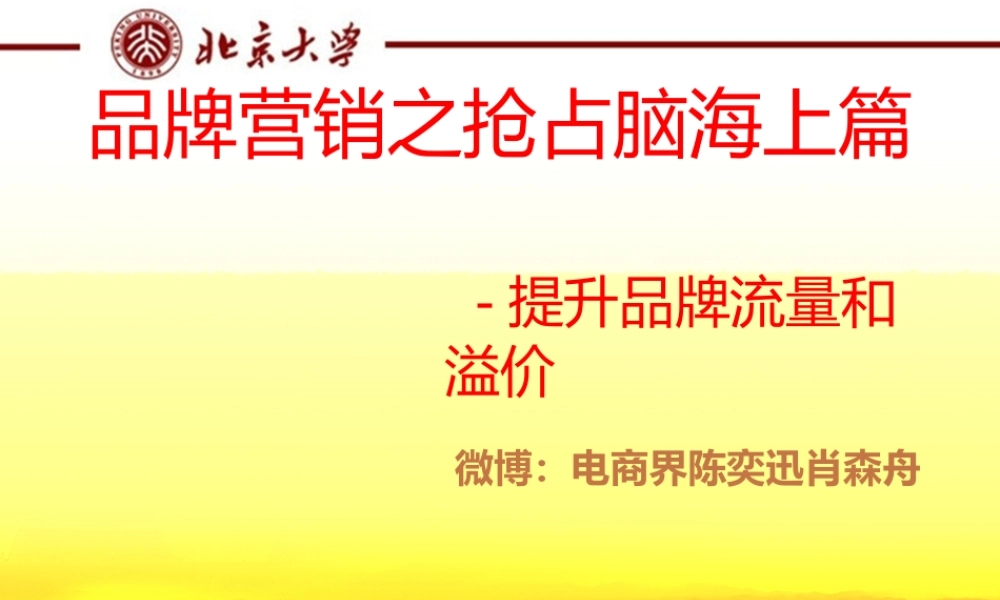 4.17电商品牌营销之抢占脑海 肖森舟.pptx