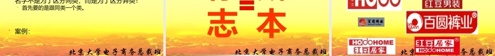4.17电商品牌营销之抢占脑海 肖森舟.pptx