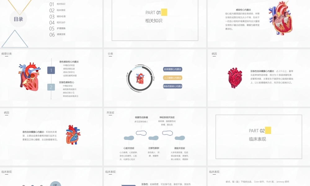 5、感染性心内膜炎护理业务学习课件.pptx