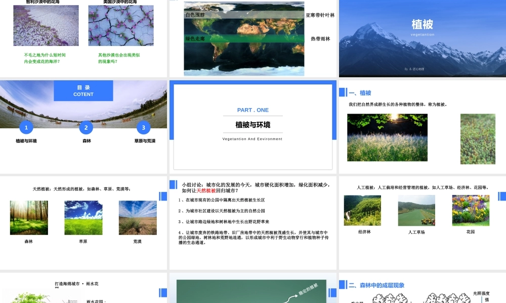 5.1 植被（未美化仅供参考）(1).pptx