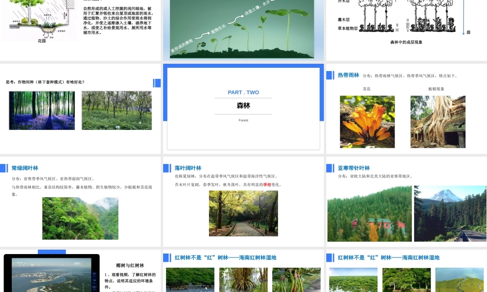 5.1 植被（未美化仅供参考）(1).pptx