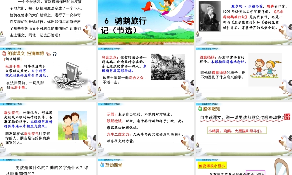 6 骑鹅旅行记（节选）.pptx
