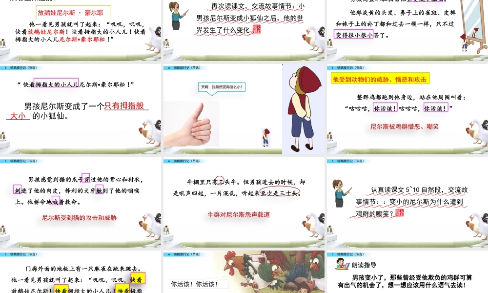 6 骑鹅旅行记（节选）.pptx