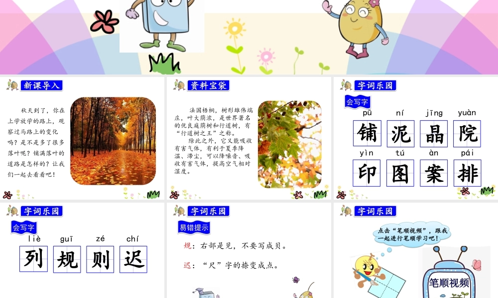 5.铺满金色巴掌的水泥道.pptx