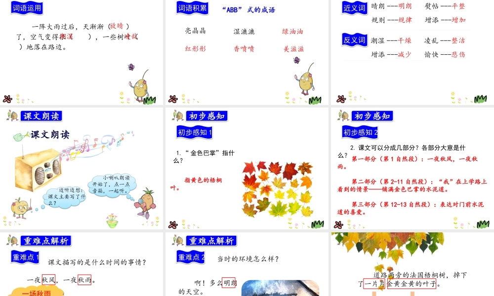 5.铺满金色巴掌的水泥道.pptx