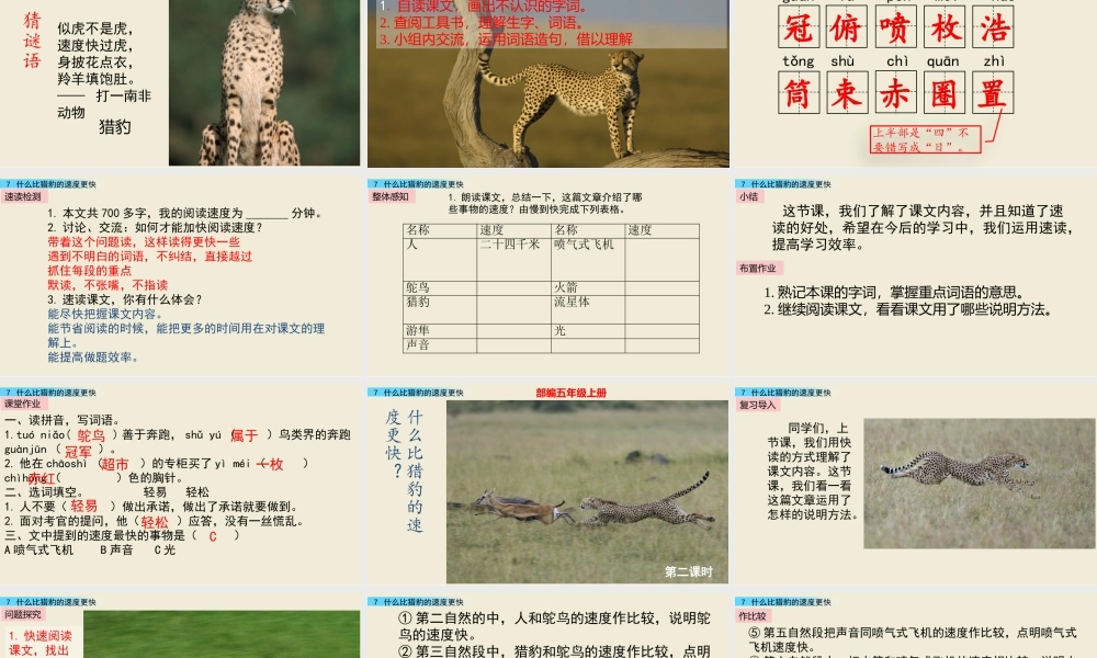 7 什么比猎豹的速度更快1.pptx