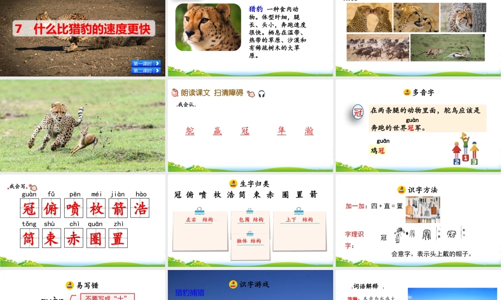 7 什么比猎豹的速度更快.pptx