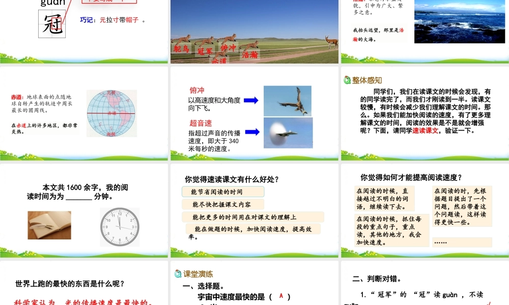 7 什么比猎豹的速度更快.pptx