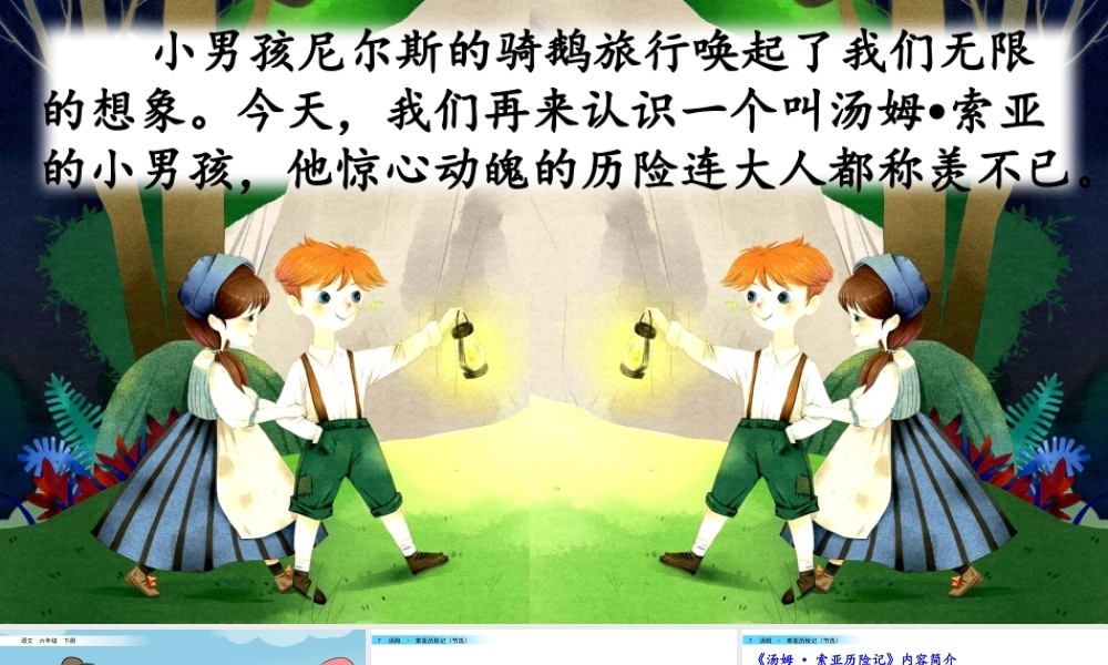 7 汤姆·索亚历险记（节选）.pptx