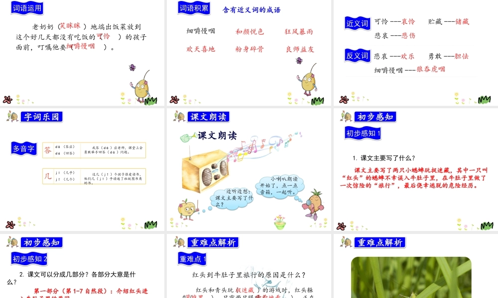 10.在牛肚子里旅行.pptx