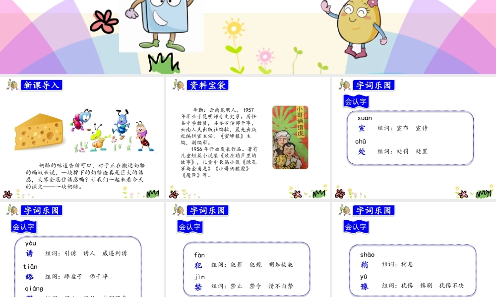 11.一块奶酪.pptx