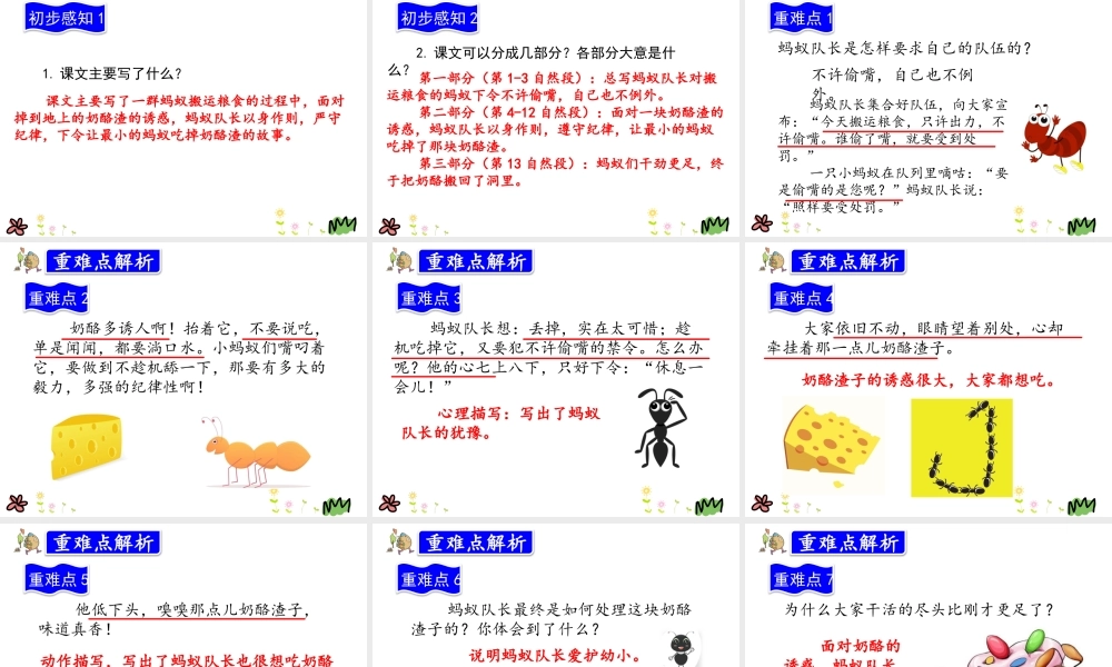 11.一块奶酪.pptx