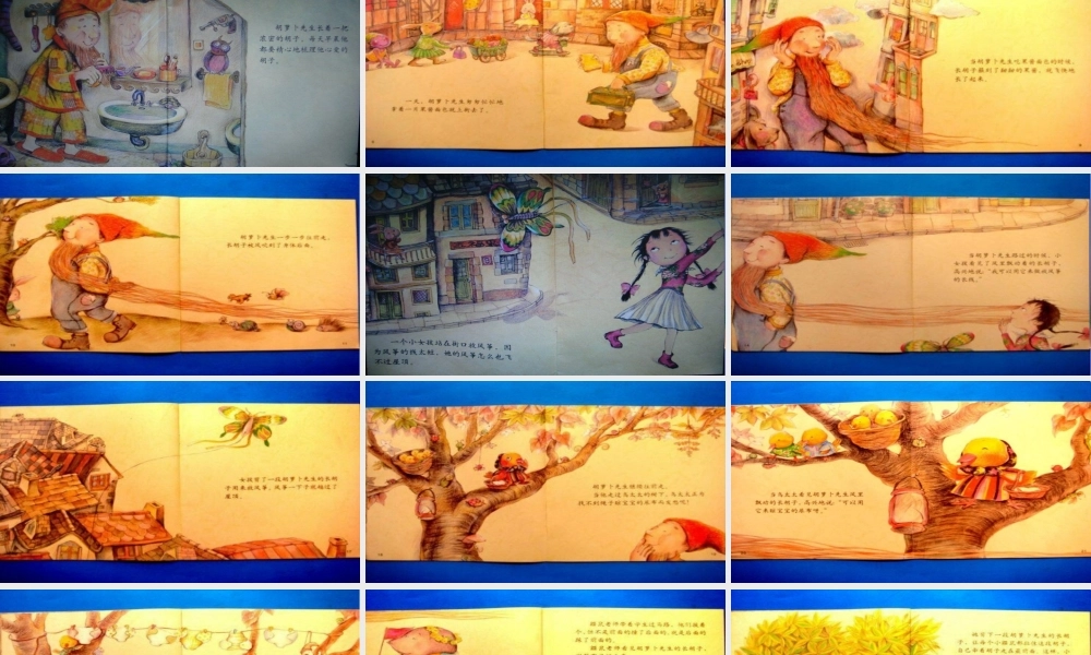 13 胡萝卜先生的胡子1.pptx