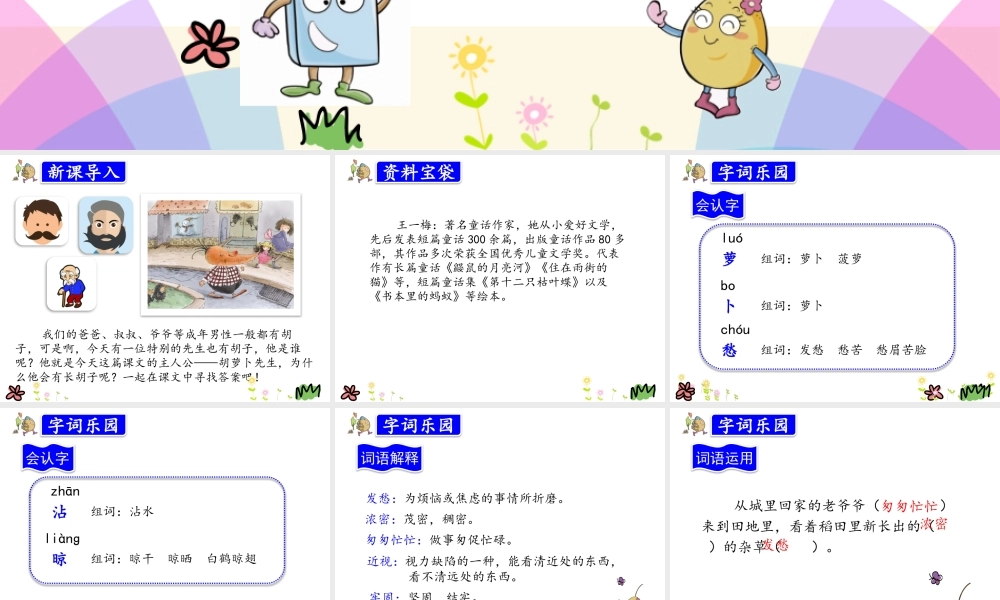 13.胡萝卜先生的长胡子.pptx