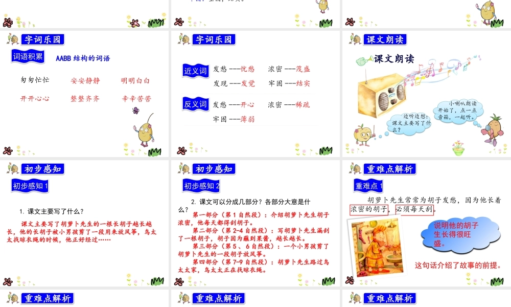 13.胡萝卜先生的长胡子.pptx