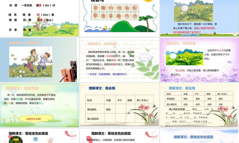 16 金色的草地1.pptx