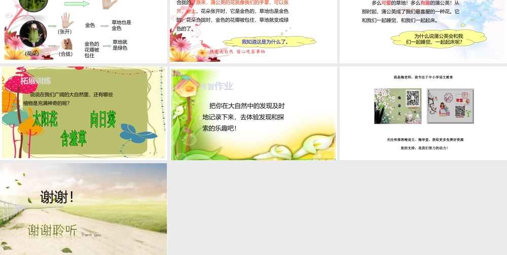 16 金色的草地1.pptx