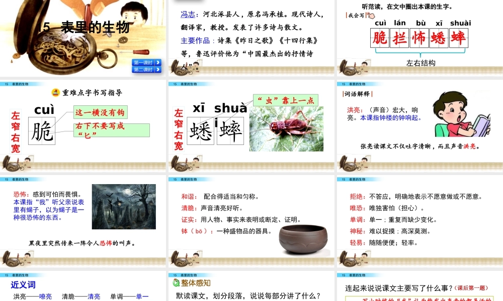 15 表里的生物.pptx