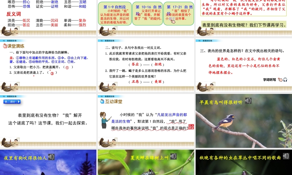 15 表里的生物.pptx