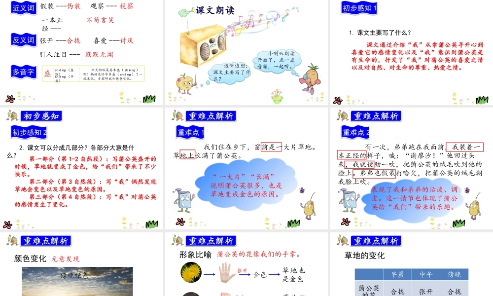 16.金色的草地.pptx