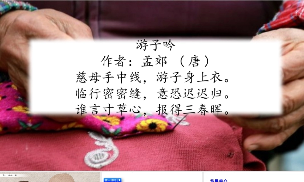 17 慈母情深.pptx