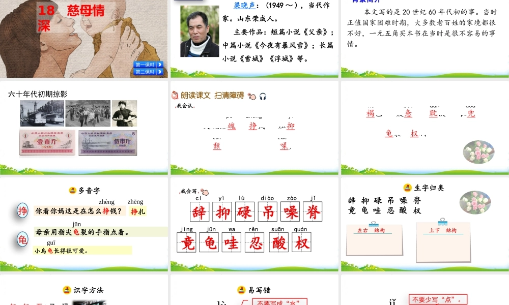 17 慈母情深.pptx