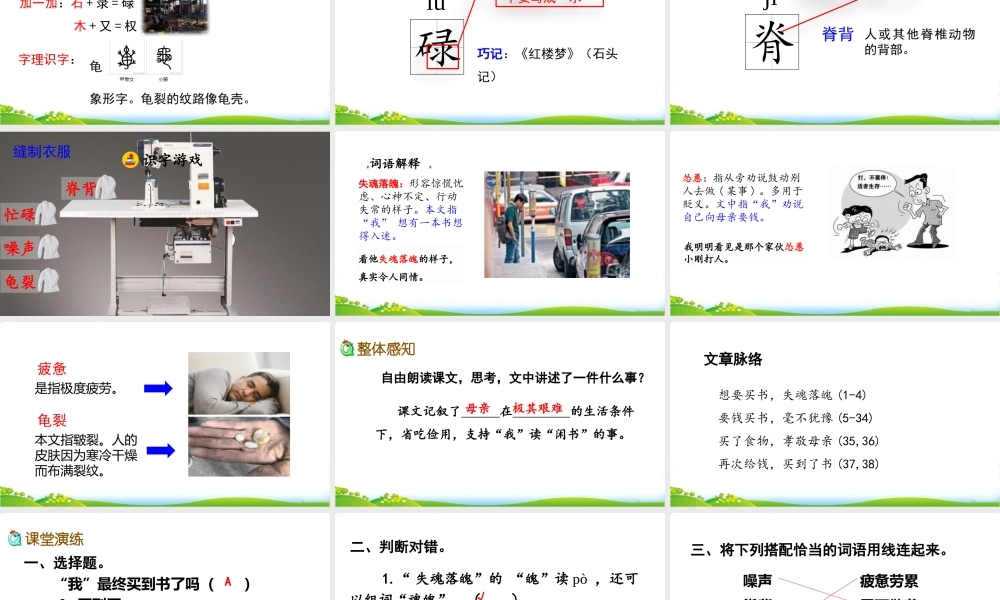 17 慈母情深.pptx