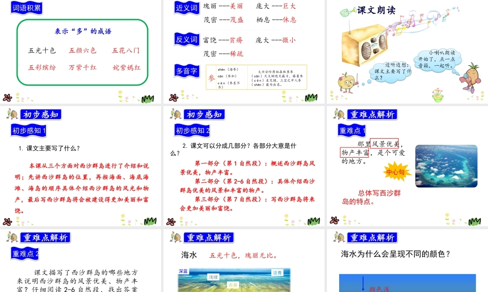 18.富饶的西沙群岛.pptx