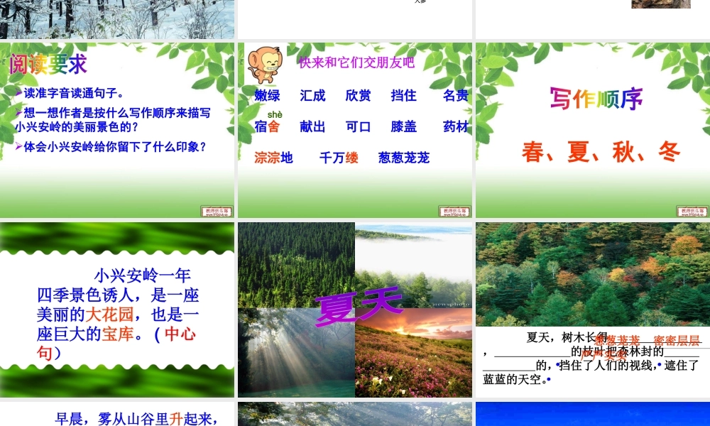 20 美丽的小兴安岭2.pptx