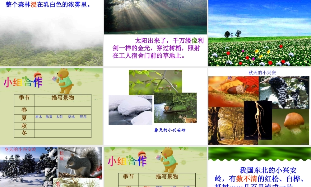 20 美丽的小兴安岭2.pptx