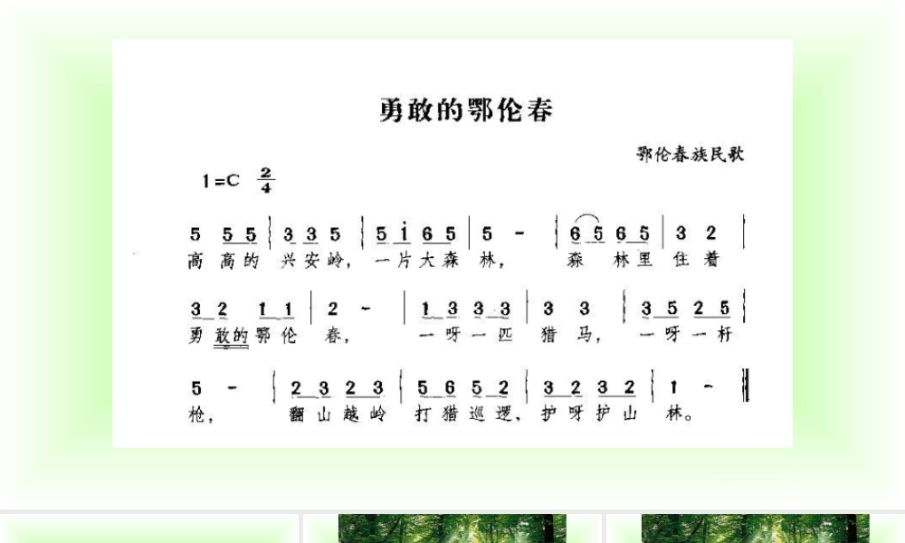 20 美丽的小兴安岭1.pptx