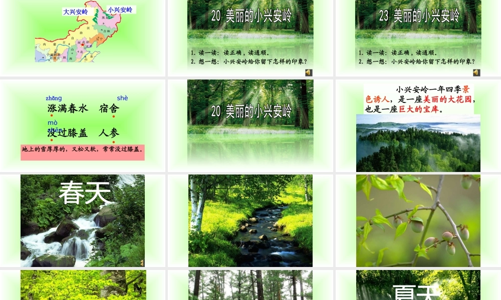 20 美丽的小兴安岭1.pptx