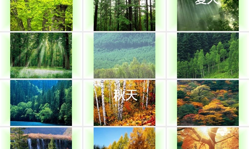 20 美丽的小兴安岭1.pptx