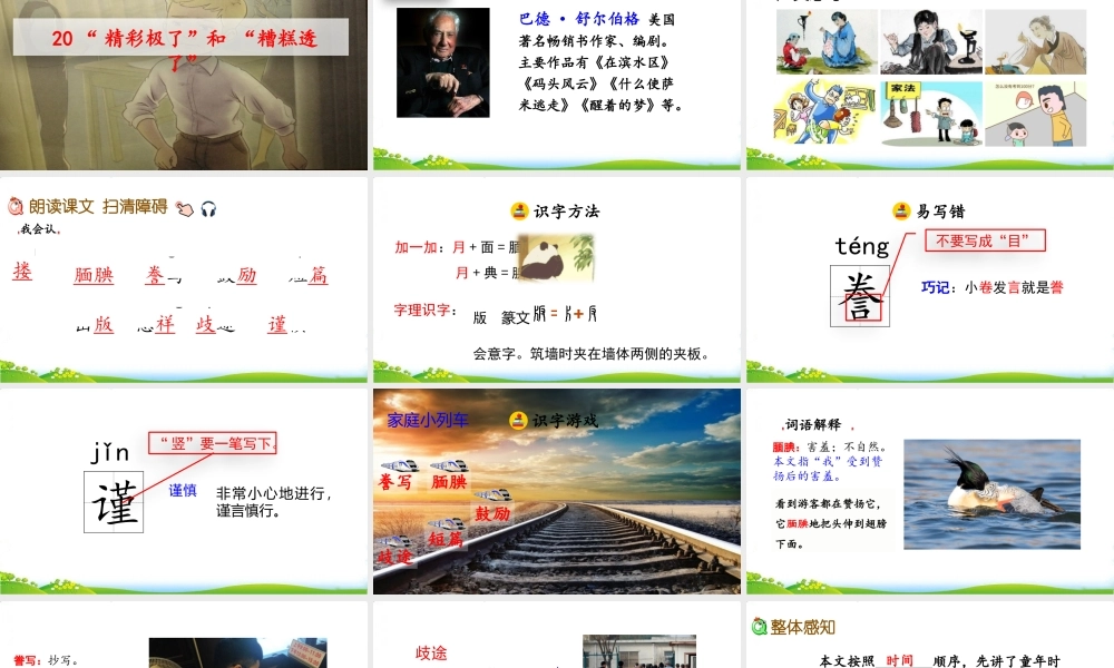 19 “精彩极了”和“糟糕透了”.pptx