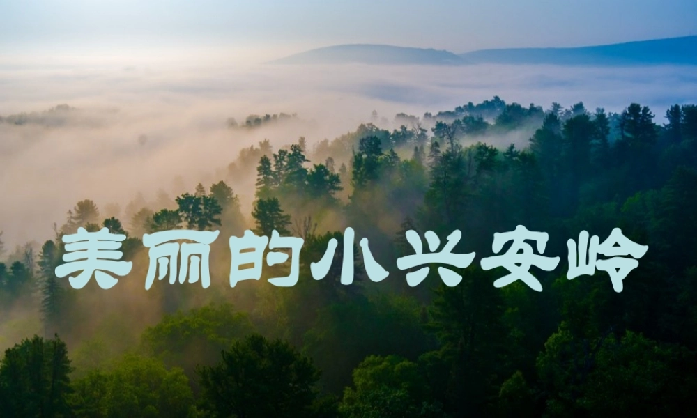 20 美丽的小兴安岭3.pptx