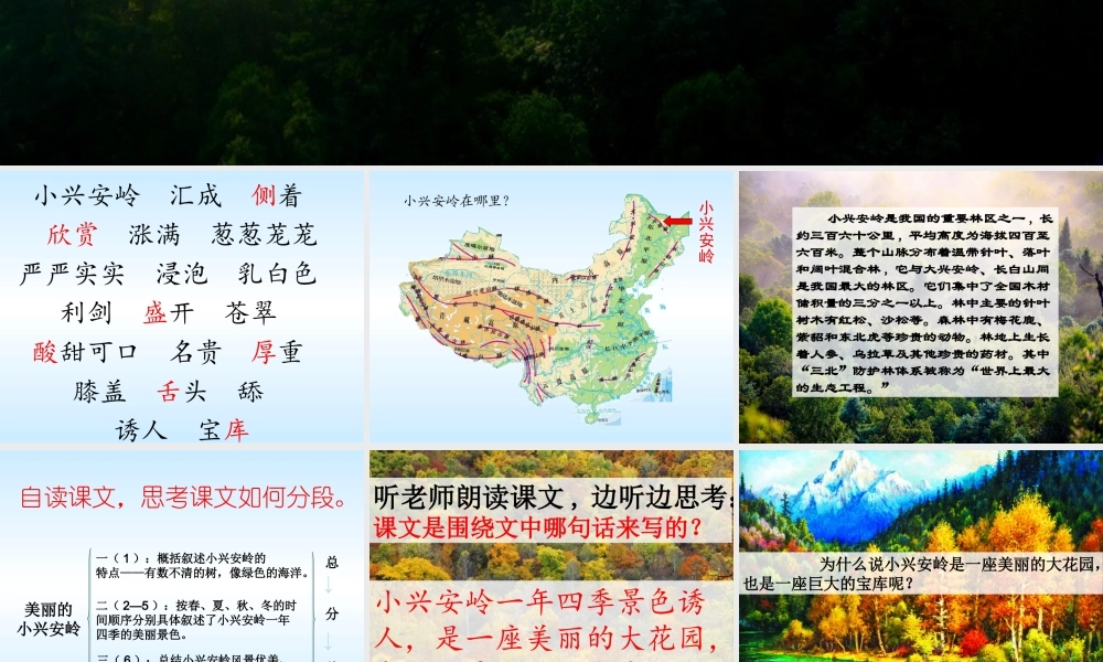 20 美丽的小兴安岭3.pptx