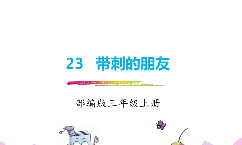 23.带刺的朋友.pptx