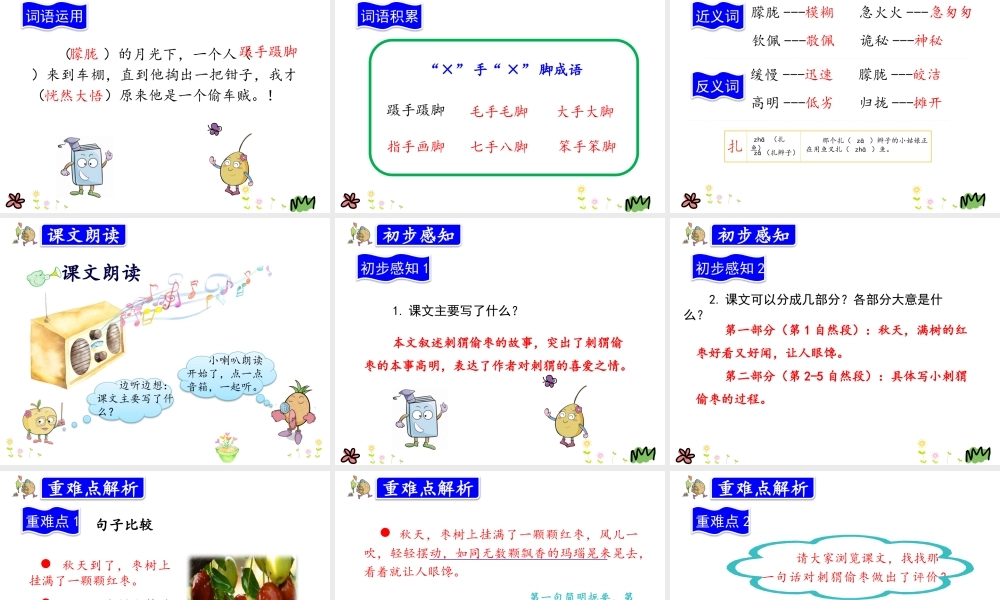 23.带刺的朋友.pptx