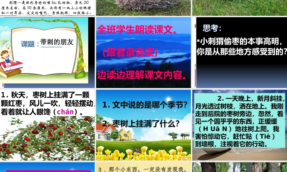 23 带刺的朋友1.pptx