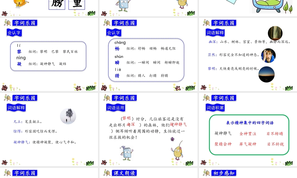 22.父亲、树林和鸟.pptx