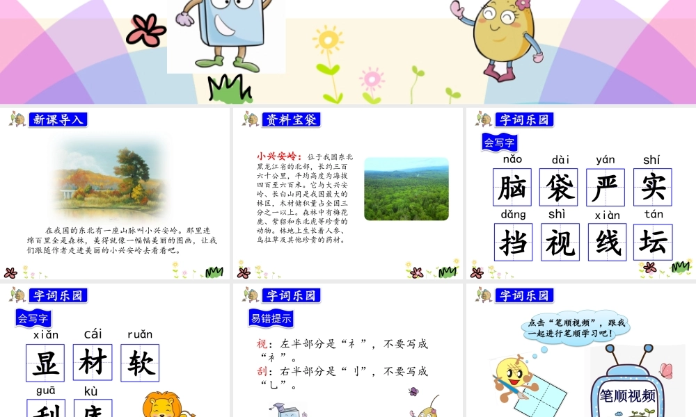 20.美丽的小兴安岭.pptx