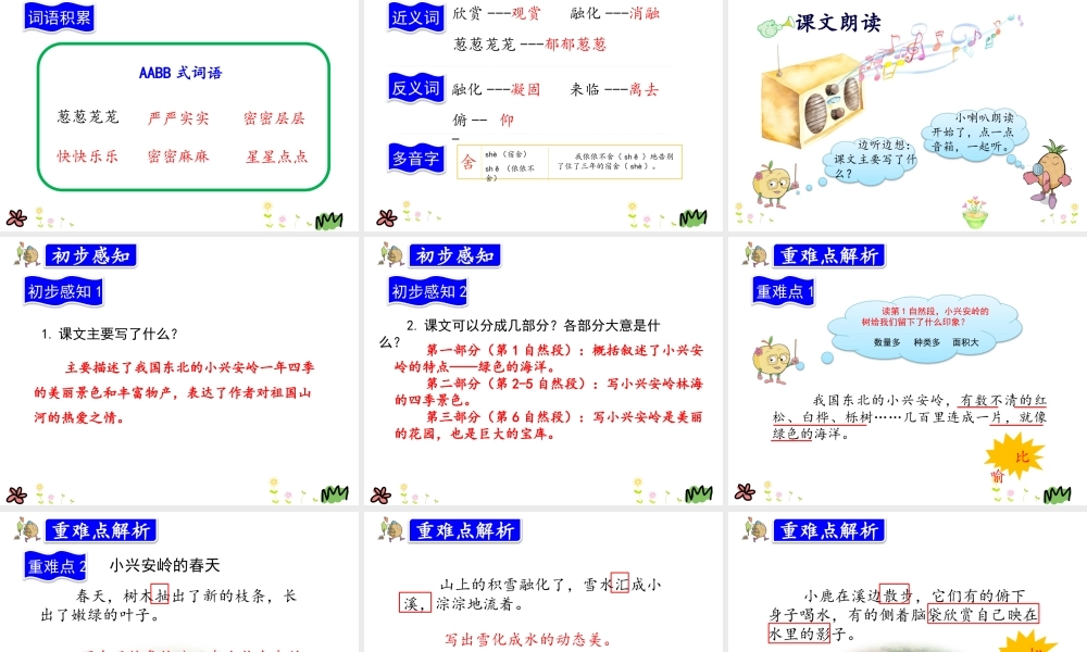 20.美丽的小兴安岭.pptx