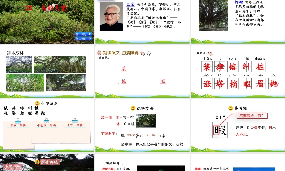 22 鸟的天堂.pptx