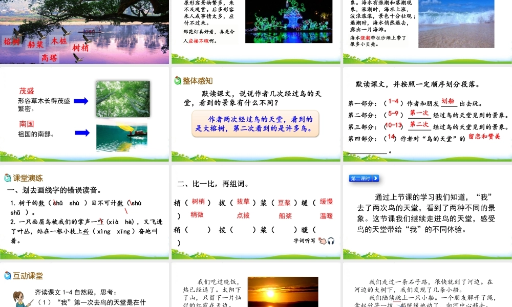 22 鸟的天堂.pptx