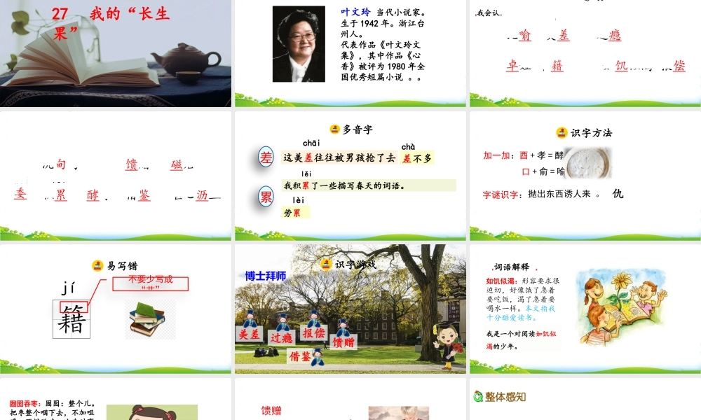 26 我的“长生果“.pptx