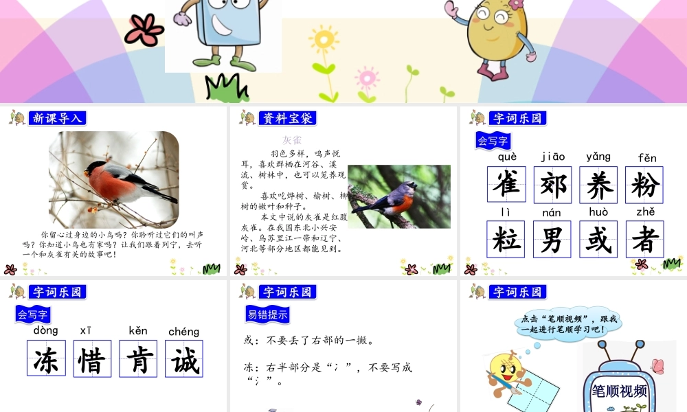 26.灰雀_20190723_235237.pptx