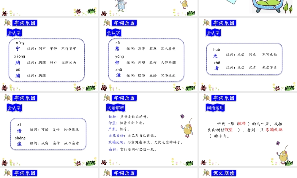 26.灰雀_20190723_235237.pptx